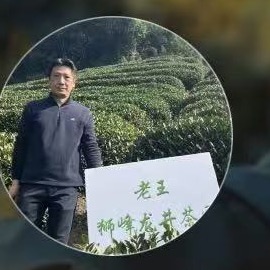 杭州西湖龍井合作茶農老王的個人照片